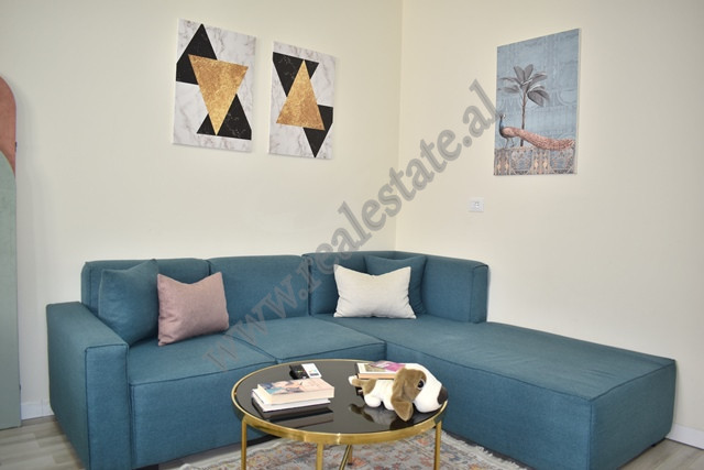 Studio Apartment for Rent on Maliq Mu&ccedil;o street in Tirana.

The apartment is located on the 